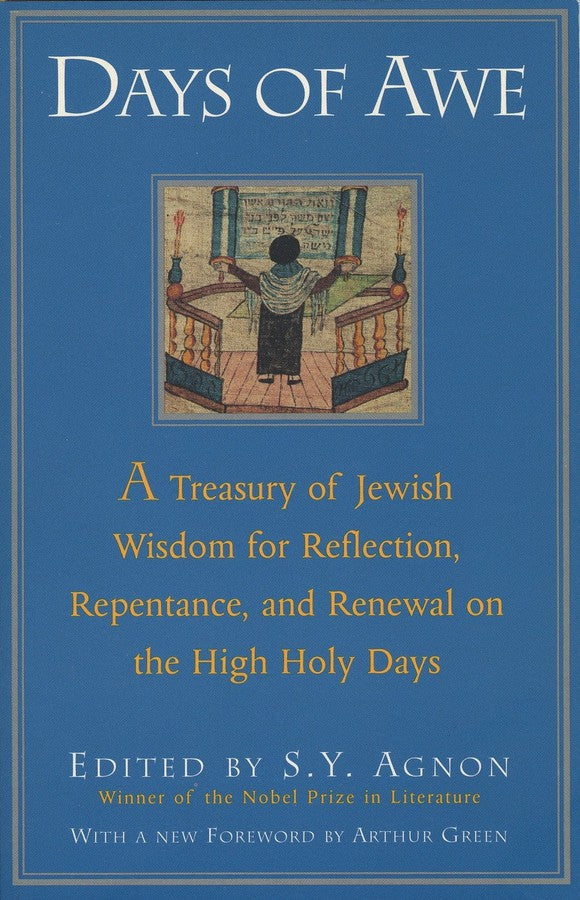 Days of Awe-Religion and beliefs-買書書 BuyBookBook