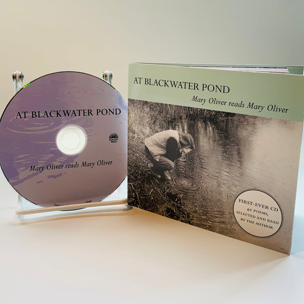 At Blackwater Pond cover (ISBN 9780807007006)
