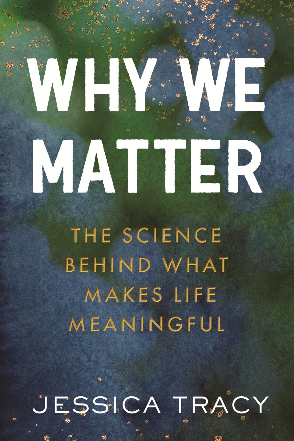 Why We Matter cover (ISBN 9780807021316)