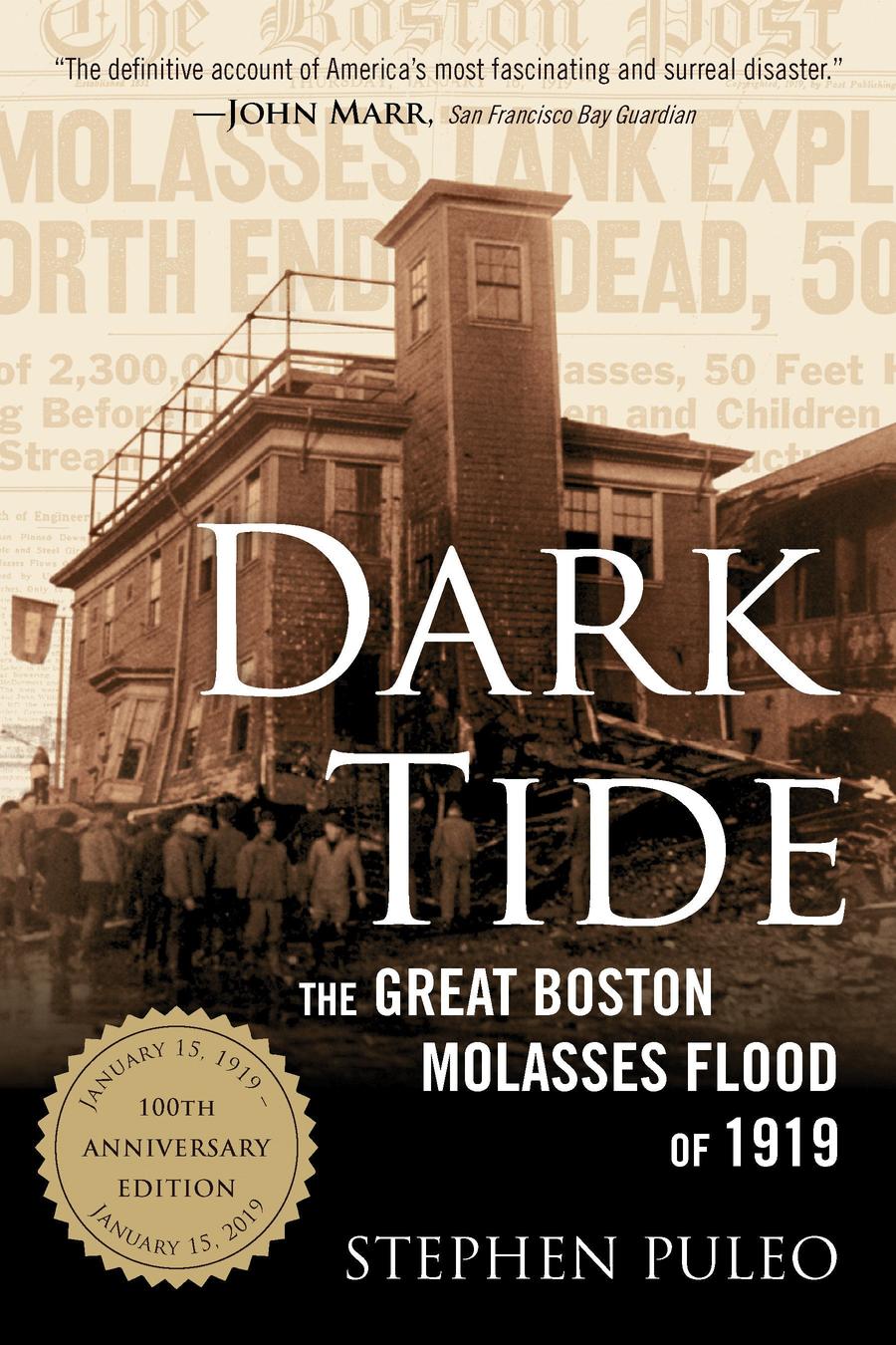 Dark Tide-History and Archaeology-買書書 BuyBookBook