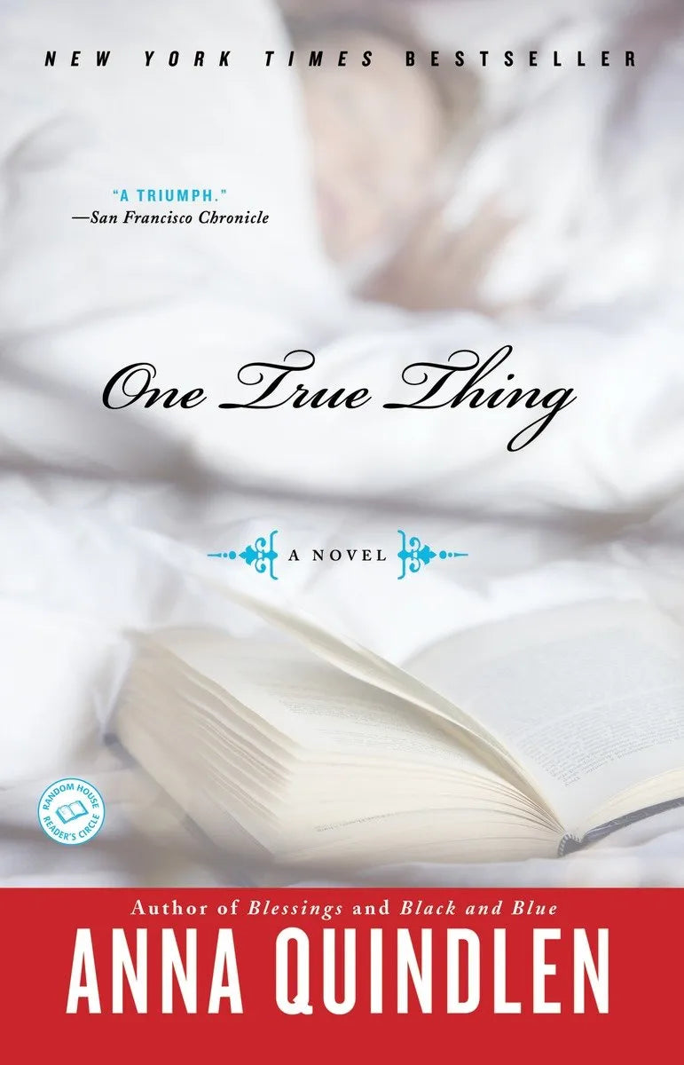 One True Thing-Fiction: general and literary-買書書 BuyBookBook