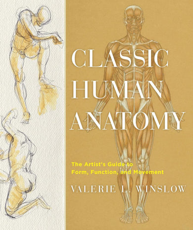 Classic Human Anatomy-Art: general-買書書 BuyBookBook