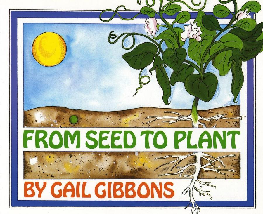 From Seed to Plant-Children’s / Teenage general interest: Nature and animals-買書書 BuyBookBook