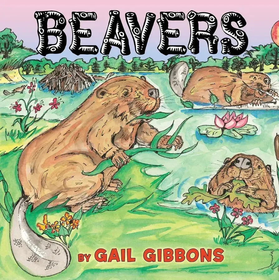 Beavers-Children’s / Teenage general interest: Nature and animals-買書書 BuyBookBook