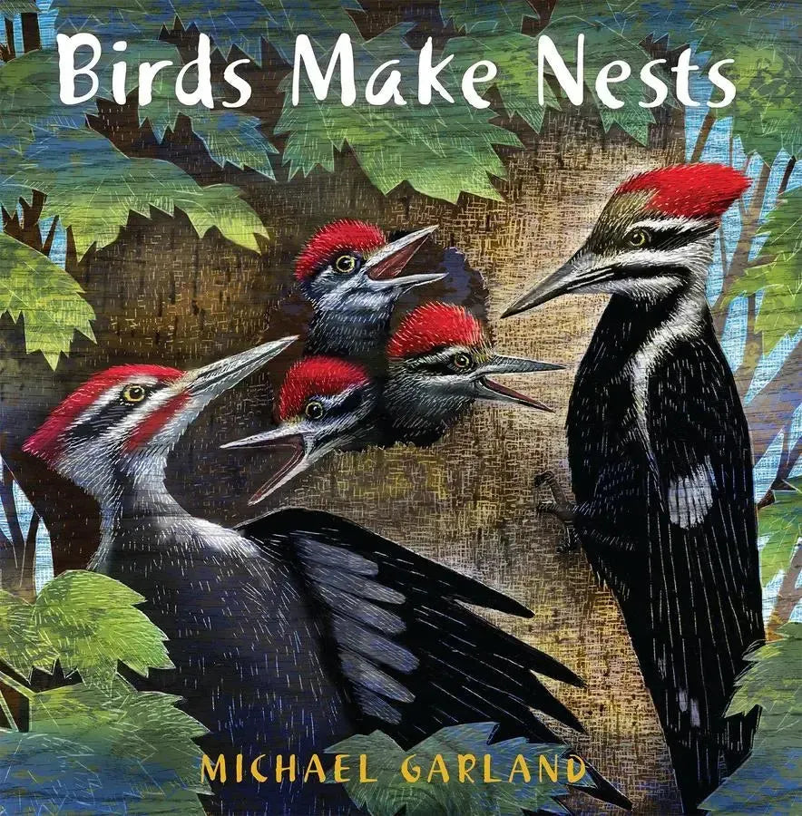 Birds Make Nests-Children’s / Teenage general interest: Nature and animals-買書書 BuyBookBook
