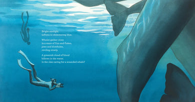 In the World of Whales US - Hardback