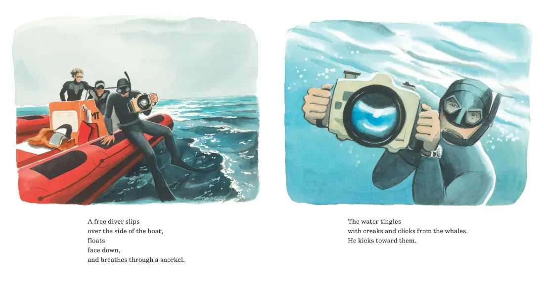 In the World of Whales US - Hardback
