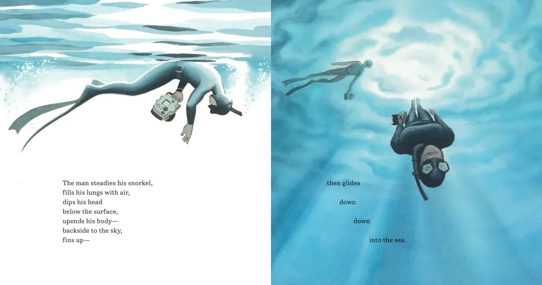 In the World of Whales US - Hardback