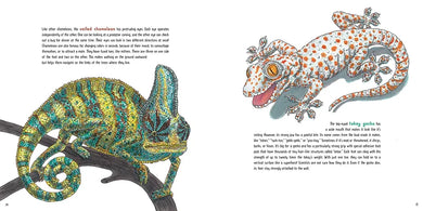 Lizards at Large US - Hardback