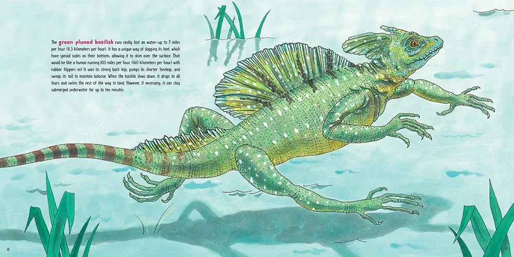 Lizards at Large US - Hardback