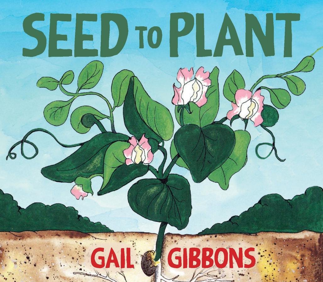 Seed to Plant-Children’s / Teenage general interest: Nature and animals-買書書 BuyBookBook
