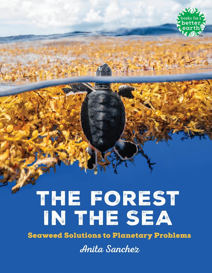 The Forest in the Sea-Children’s / Teenage general interest: Nature and animals-買書書 BuyBookBook