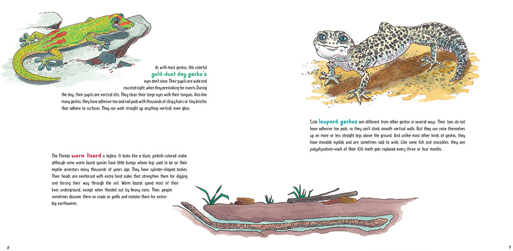 Lizards at Large US - Paperback / softback