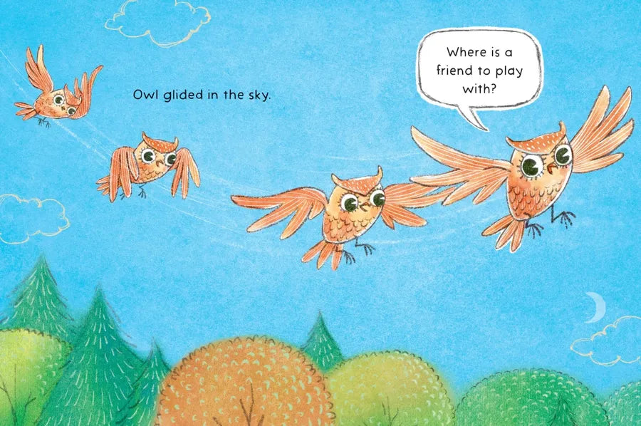 Just One Owl US - Hardback