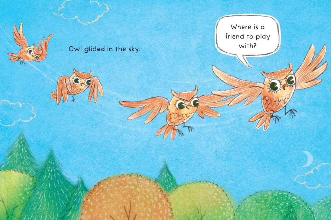 Just One Owl US - Hardback