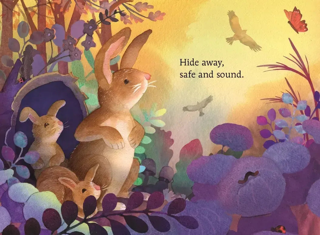 Hello, Sun US - Board book