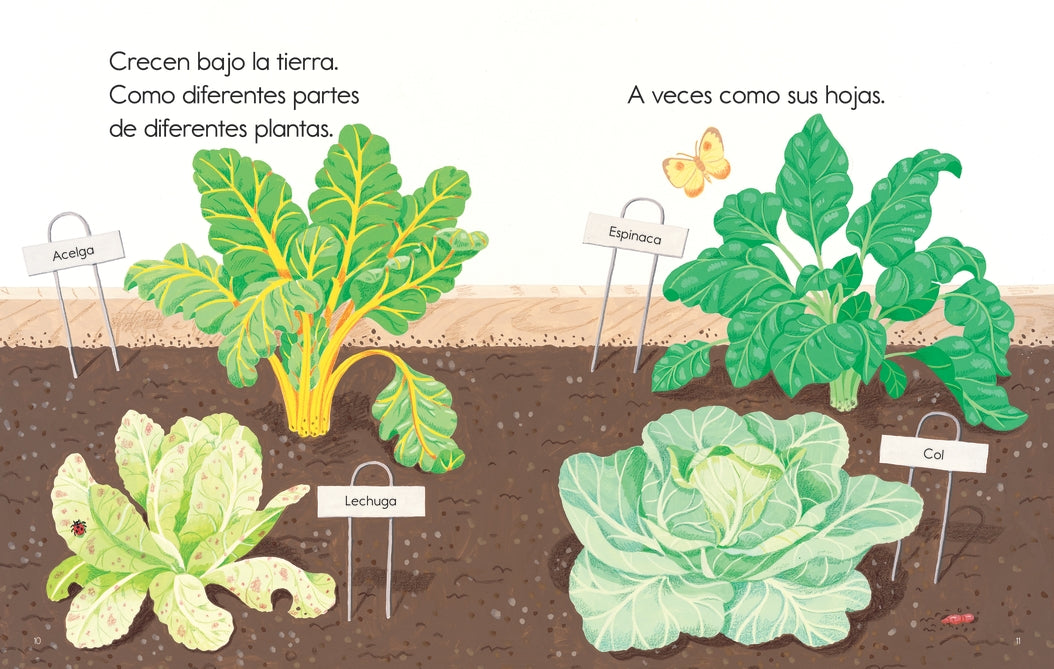 Las plantas me alimentan US - Paperback / softback