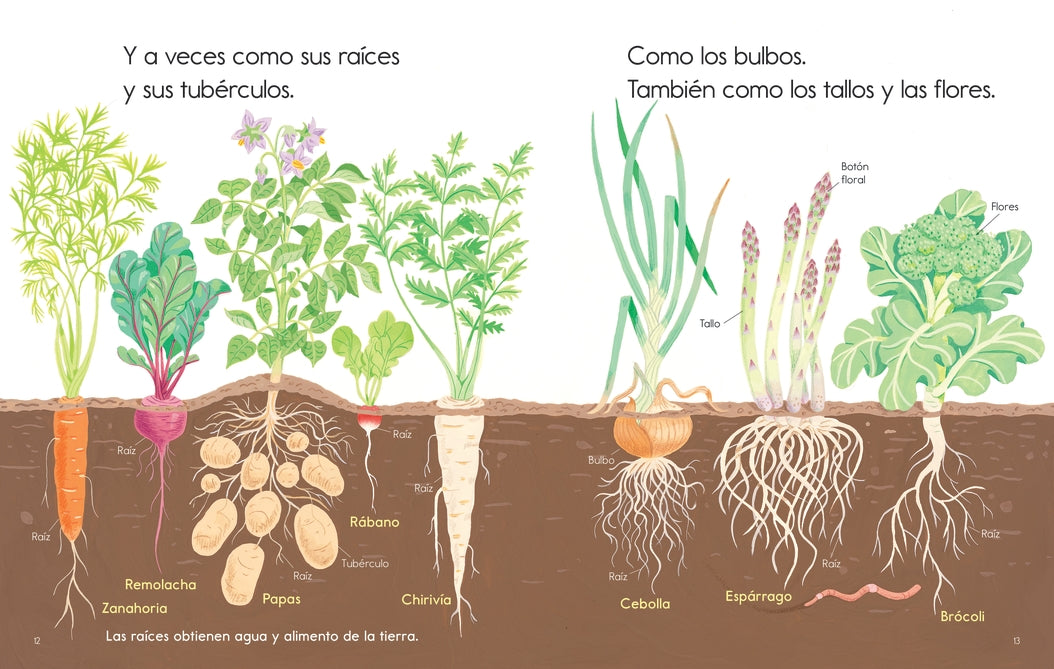 Las plantas me alimentan US - Paperback / softback