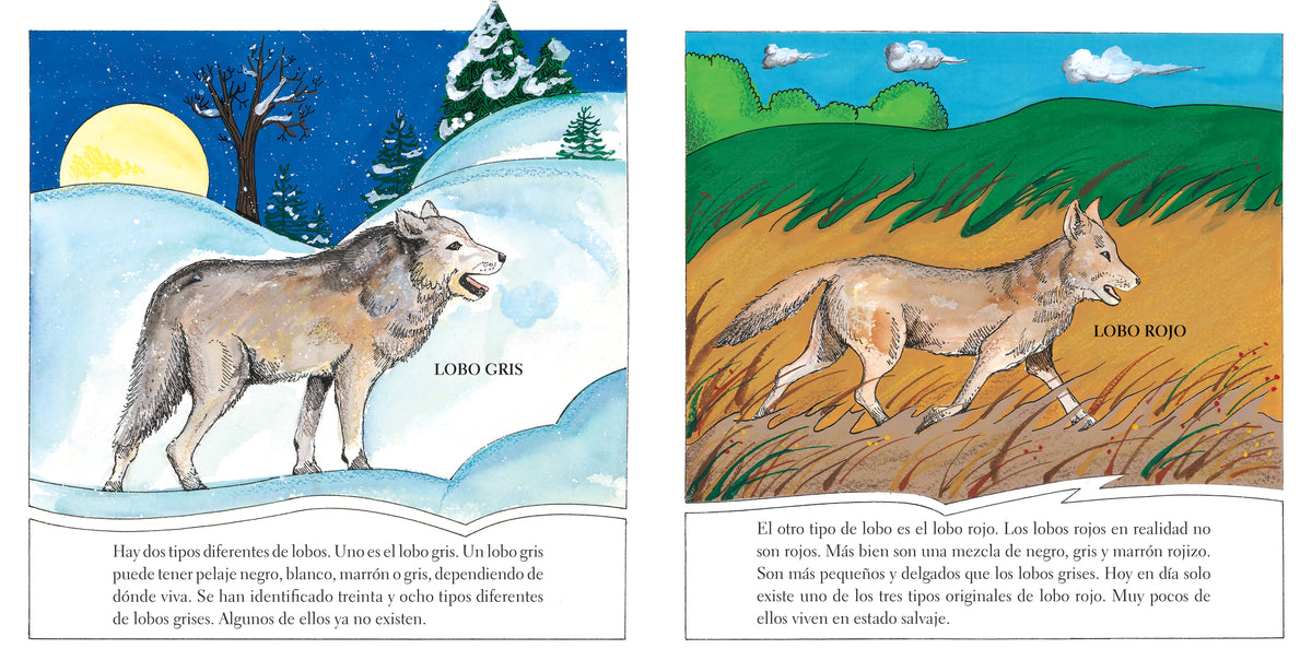 Lobos interior 1 (ISBN 9780823460014)