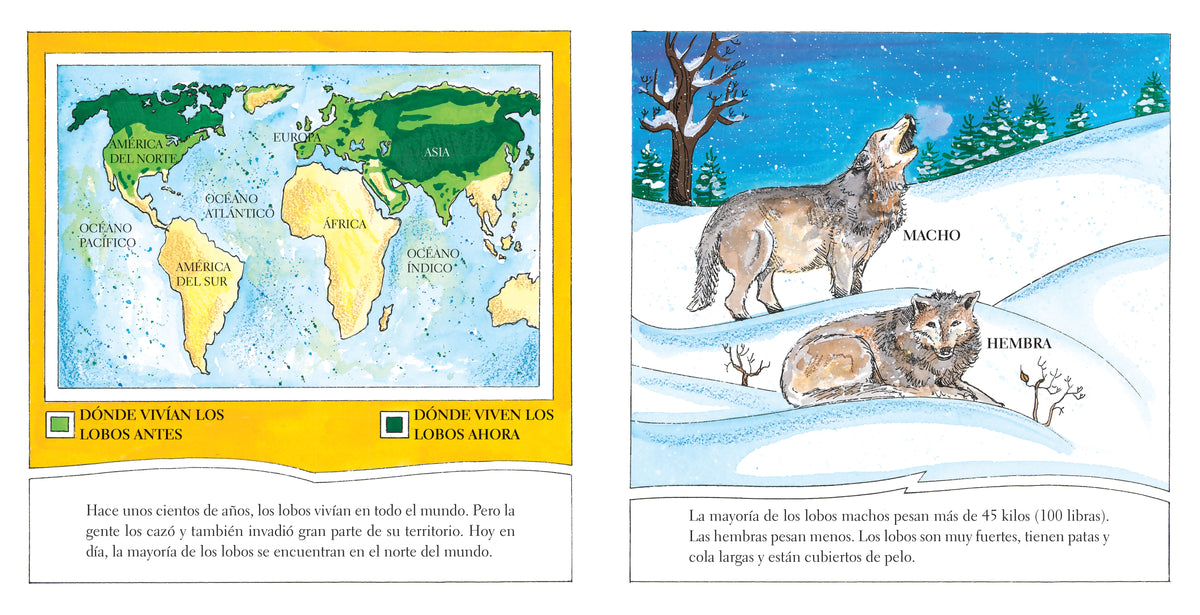 Lobos interior 3 (ISBN 9780823460014)