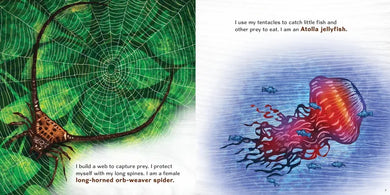 We're Not Weird US - Paperback / softback
