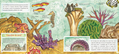 Arrecifes de coral interior 2 (ISBN 9780823461721)