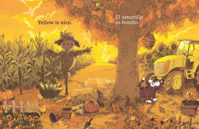 Cat Likes Red / A Gato le gusta el rojo US - Board book