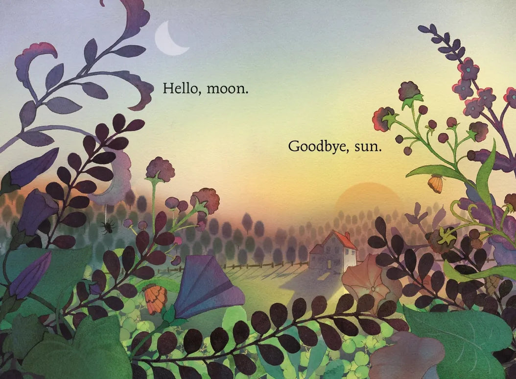 Hello, Moon US - Board book