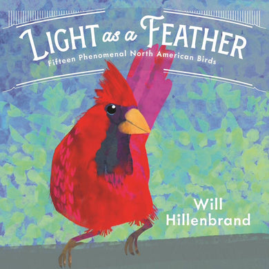 Light as a Feather-Children’s / Teenage general interest: Nature and animals-買書書 BuyBookBook