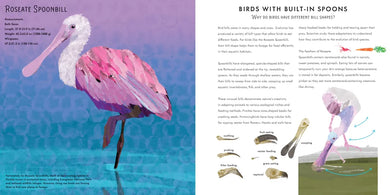 Light as a Feather US - Hardback