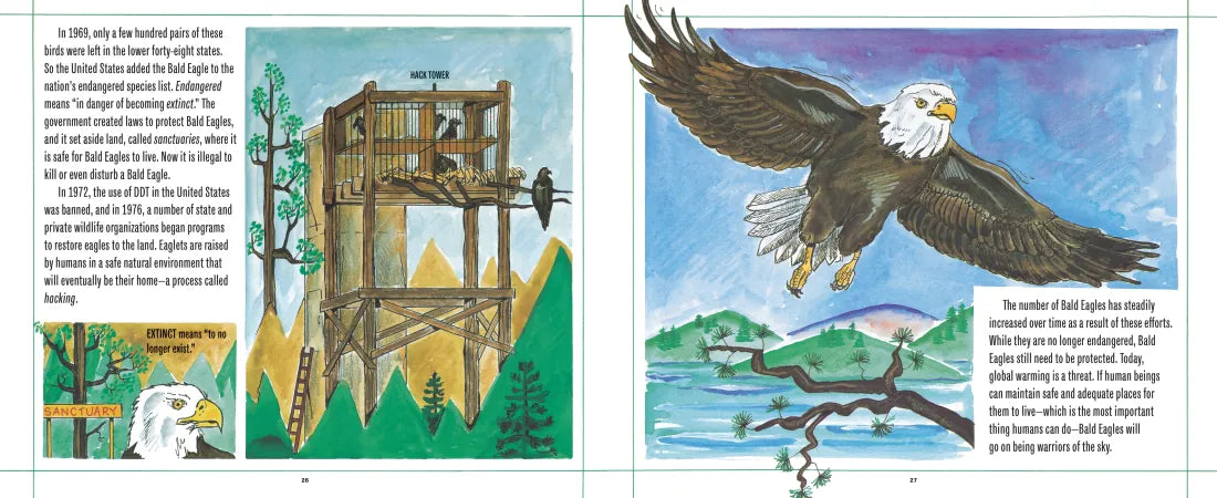 Bald Eagles US - Hardback