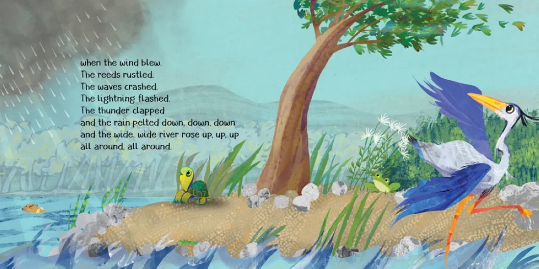 Turtle-Turtle and the Wide, Wide River US - Hardback