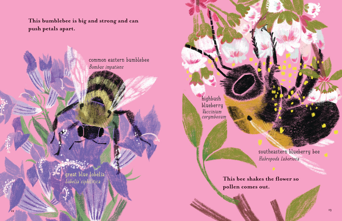 My Pollinator Garden interior 1 (ISBN 9780823465460)