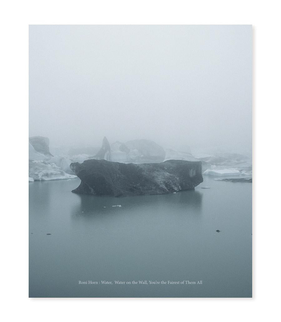 Roni Horn-Art: general-買書書 BuyBookBook