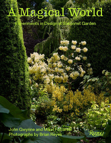 A Magical World cover (ISBN 9780847877836)
