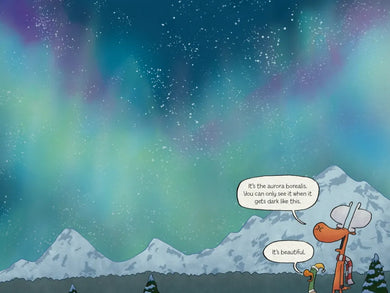 Duck and Moose: Duck in the Dark! US - Hardback