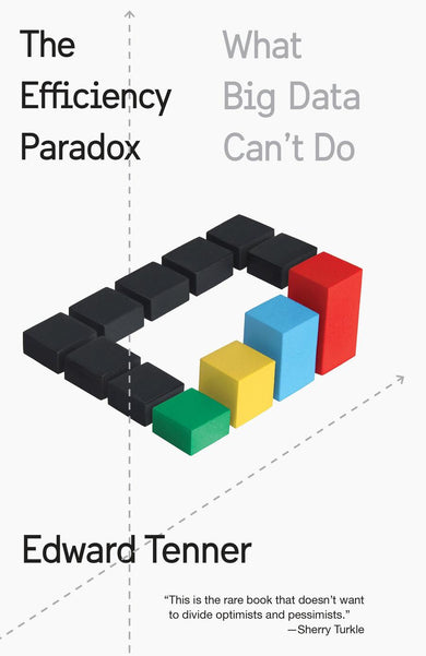 The Efficiency Paradox-Economics/ Finance and Accounting-買書書 BuyBookBook