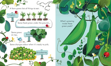 Peep Inside the Farm GB - Board book