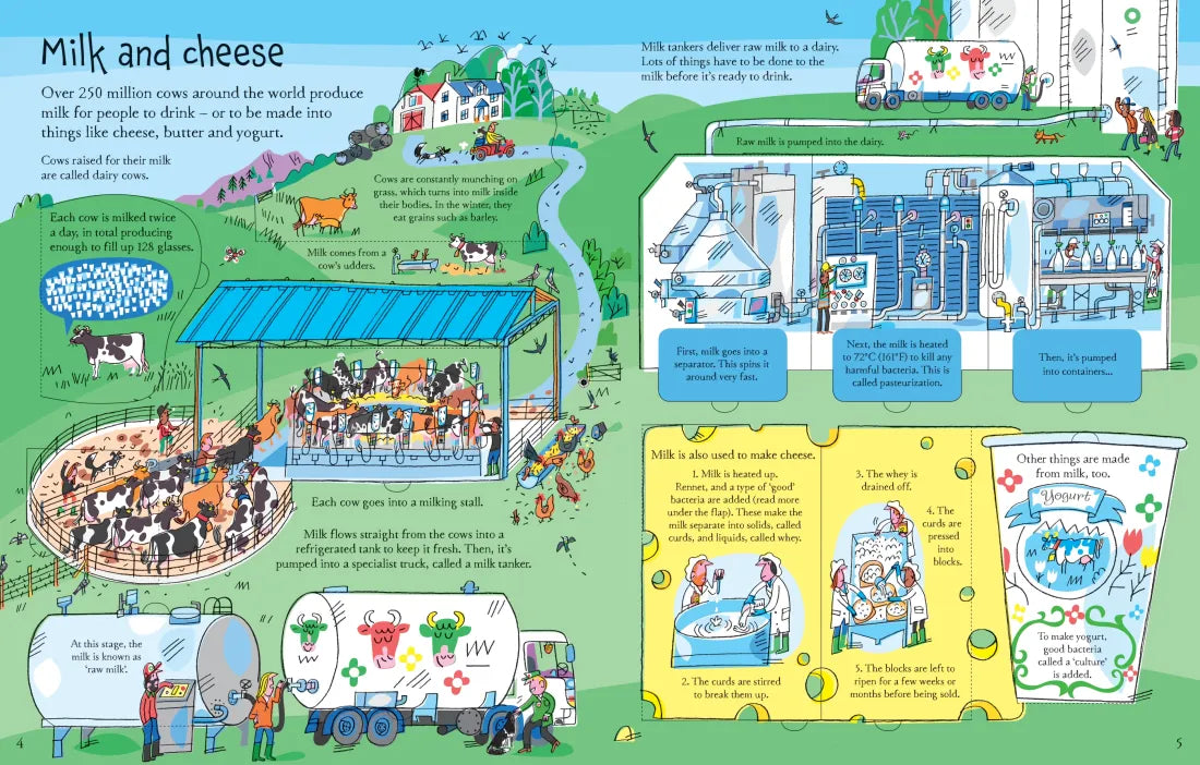 See Inside Where Food Comes From GB - Board book