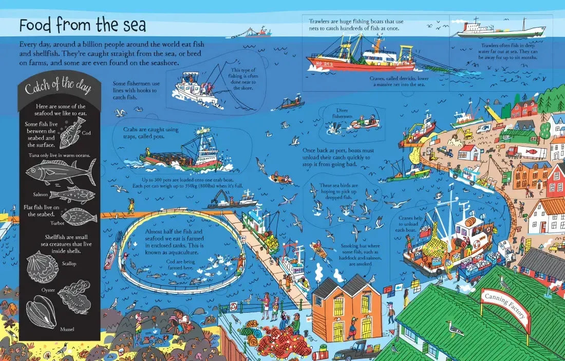 See Inside Where Food Comes From GB - Board book