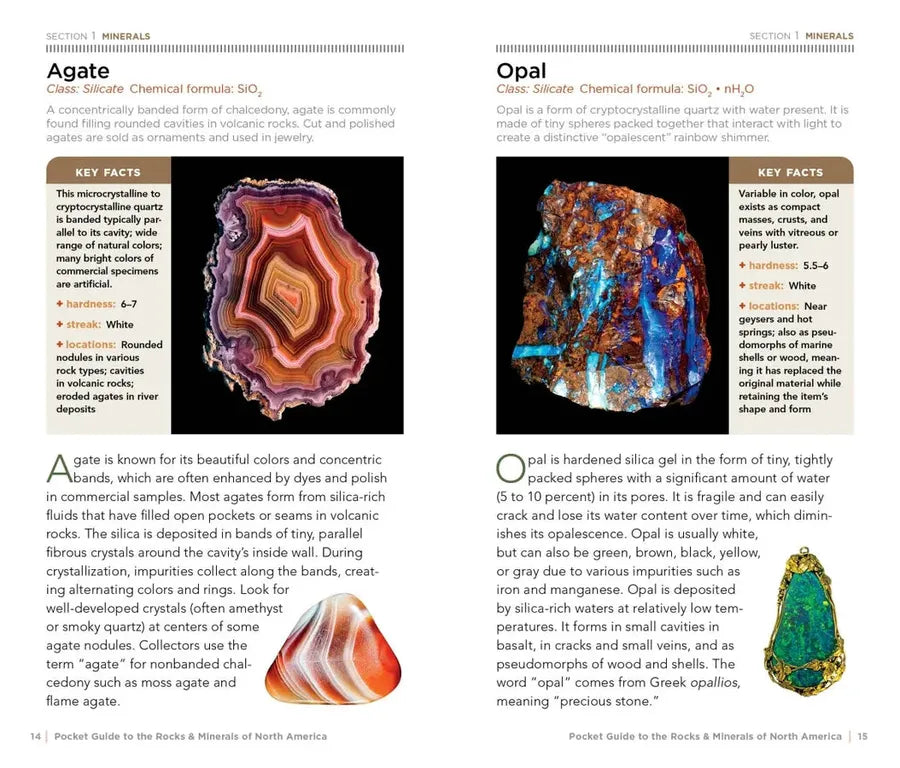 National Geographic Pocket Guide to Rocks and Minerals of North America US - Paperback / softback