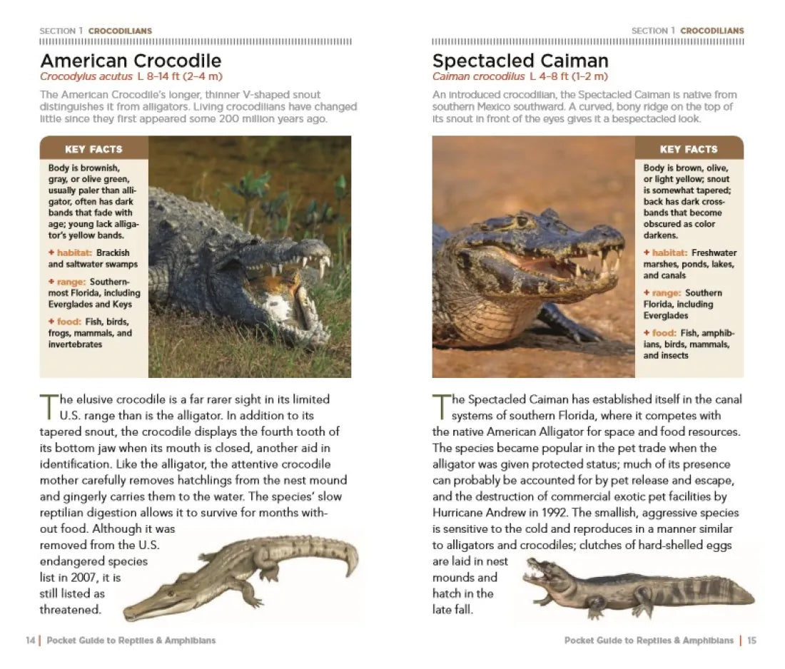 National Geographic Pocket Guide to Reptiles and Amphibians of North America US - Paperback / softback
