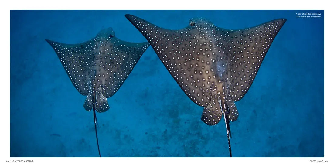 100 Dives of a Lifetime US - Hardback