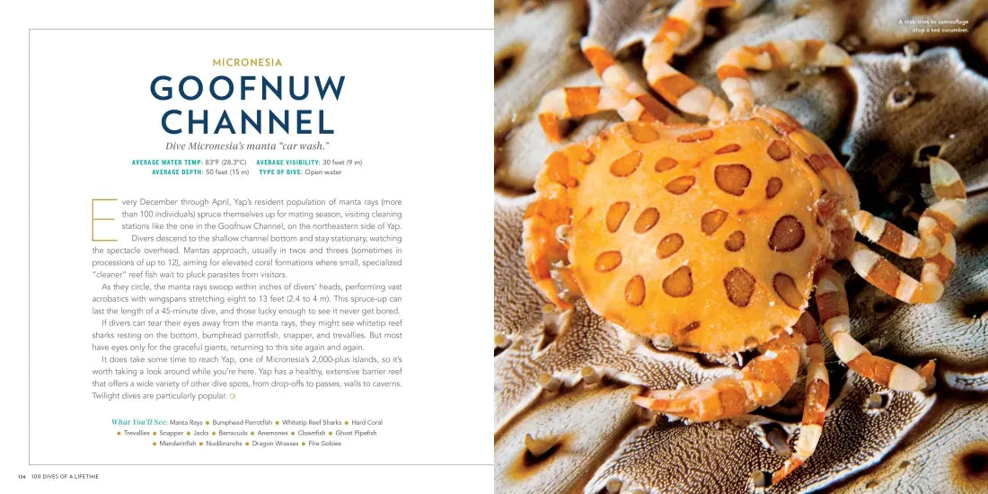 100 Dives of a Lifetime US - Hardback