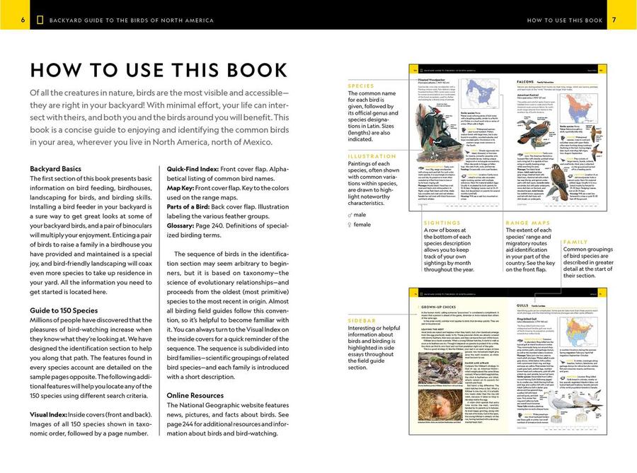National Geographic Backyard Guide to the Birds of North America, 2nd Edition US - Paperback / softback