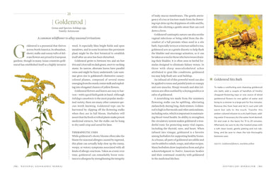 National Geographic Herbal US - Hardback