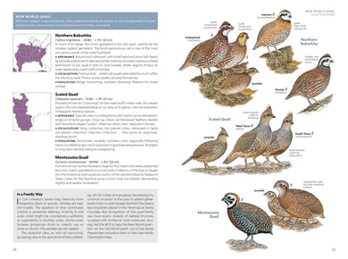 National Geographic Field Guide to the Birds of the United States and Canada—East, 2nd Edition US - Paperback / softback