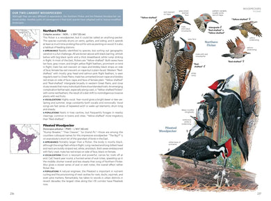National Geographic Field Guide to the Birds of the United States and Canada—East, 2nd Edition US - Paperback / softback