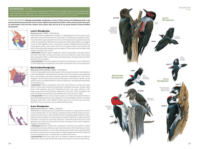 National Geographic Field Guide to the Birds of the United States and Canada, 8th edition US - Paperback / softback
