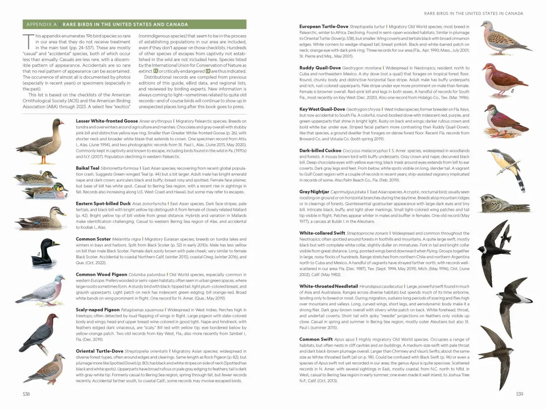 National Geographic Field Guide to the Birds of the United States and Canada, 8th edition US - Paperback / softback